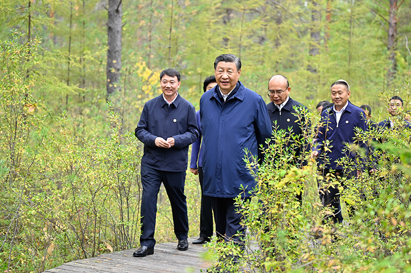 9月6日至8日，中共中央總書記、國(guó)家主席、中央軍委主席習(xí)近平在黑龍江考察。這是6日下午，習(xí)近平在大興安嶺地區(qū)漠河市漠河林場(chǎng)自然林區(qū)考察